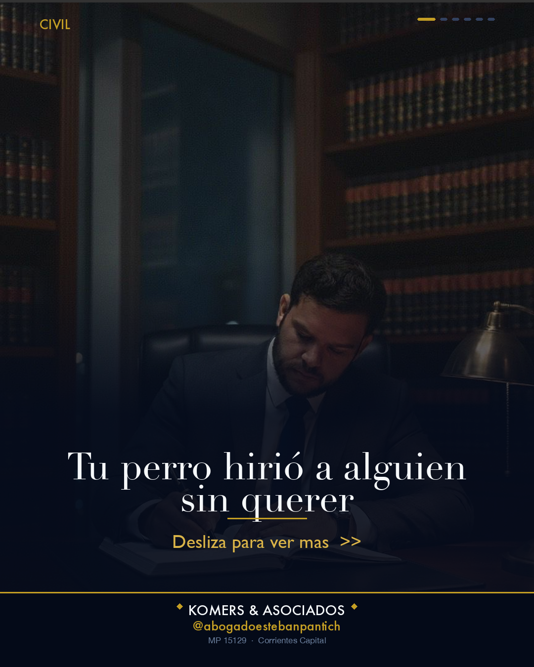 Tu perro hirió a alguien sin querer - slide 1