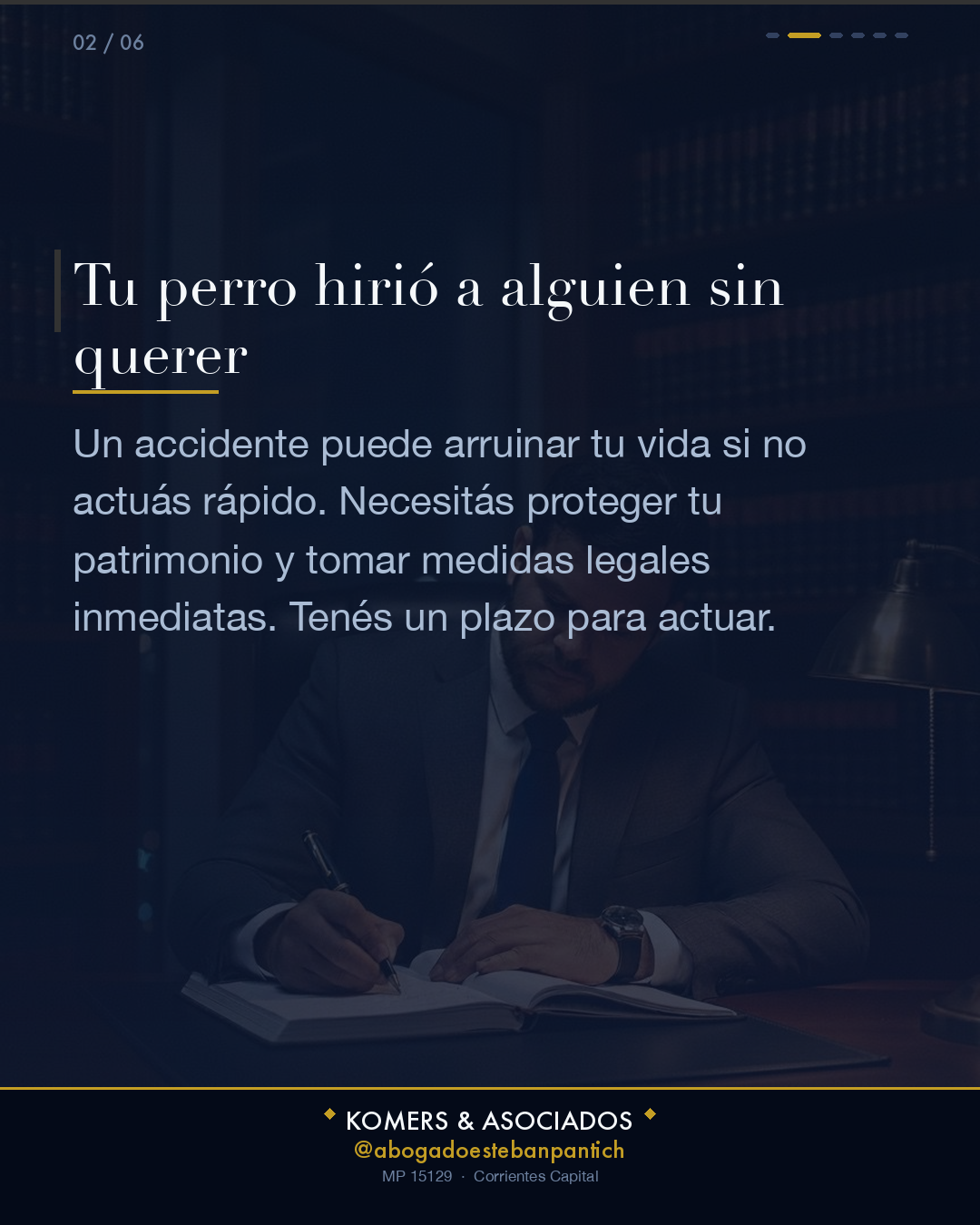Tu perro hirió a alguien sin querer - slide 2